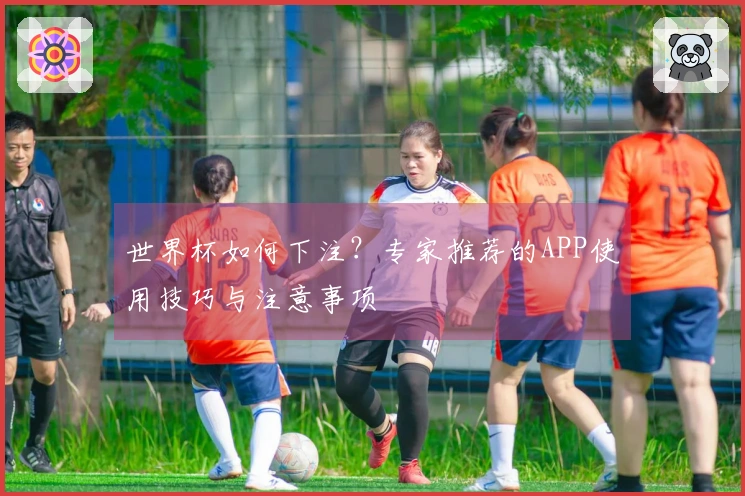 世界杯如何下注？专家推荐的APP使用技巧与注意事项